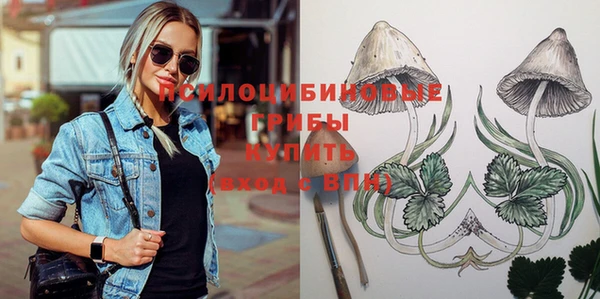 apvp Абдулино