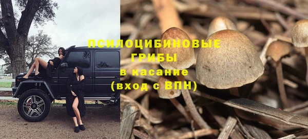 ALPHA PVP Алзамай