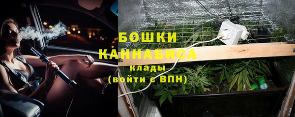 дмт Абаза